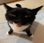 IMG_4638.jpeg