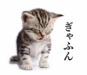 IMG_4801.jpeg