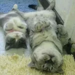 IMG_3577.jpeg