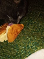 butter sandwich 02.webp