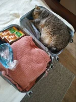 IMG_8871.jpeg