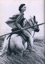 5428.webp