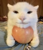 IMG_9124.jpeg
