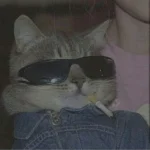 c01e40ef39d4c347d2b9779bd74a5765.webp