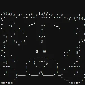 1767199177649.webp
