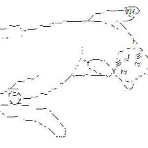 1767200756956.webp
