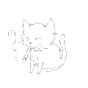 1767202165624.webp