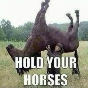 hold-your-horses.webp