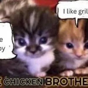 chik.webp