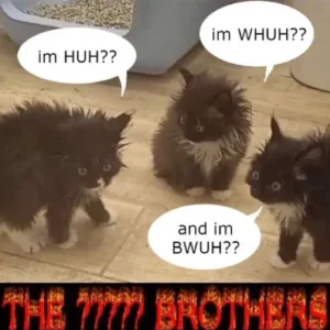 brothersconfused.webp