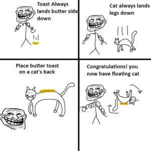 buttercat.webp