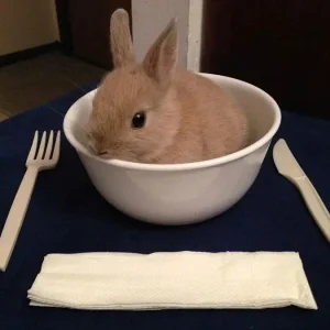 HA_ea1ZbsAAxgiE.webp