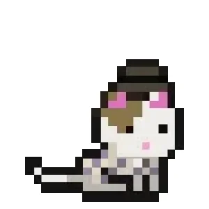 pixel-chiro.webp