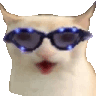 :catjam: